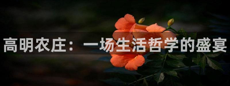 天顺娱乐痛砂70648