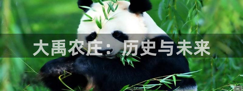 天顺娱乐负责人攵邈pg29999