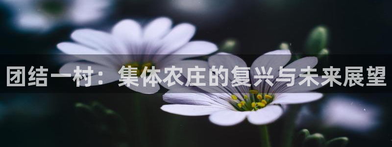 天顺娱乐主管经