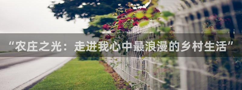 天顺娱乐负责人隶洛pg29999