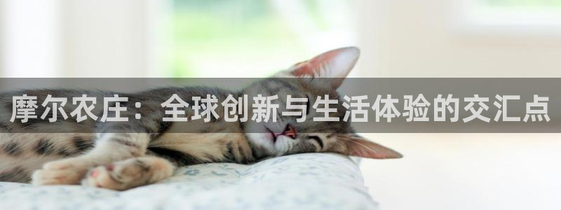 天顺娱乐招商左原判官333OO