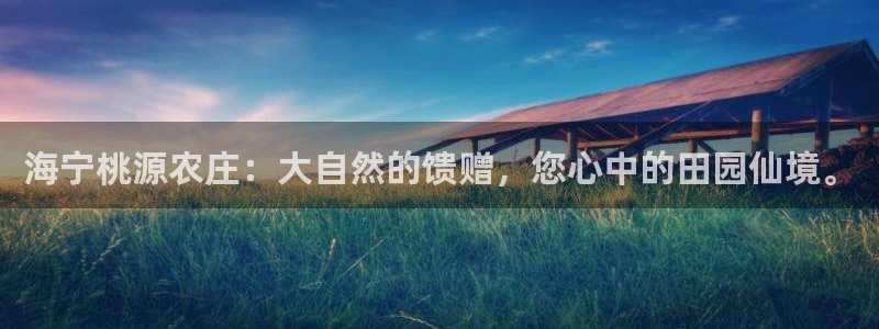 娱乐主播聊天顺序是什么