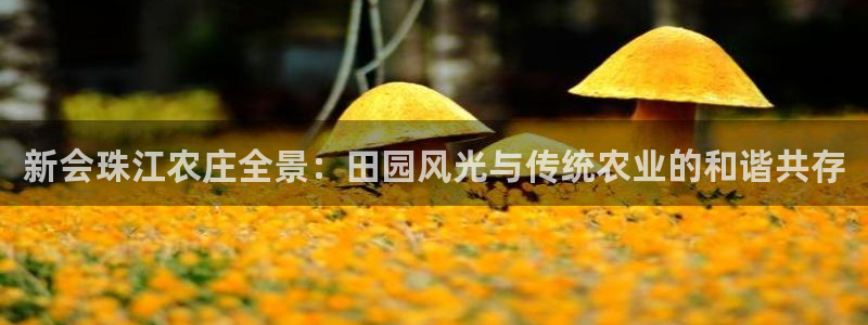 天顺娱乐丶金手指科捷1