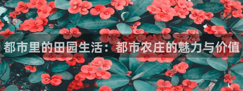 天顺娱乐晨47 344
