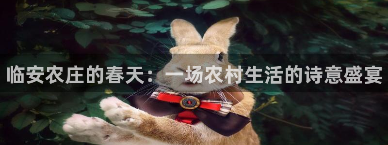 天顺娱乐xq金丨手丨指jd
