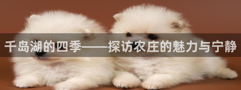 天顺娱乐冯7O667