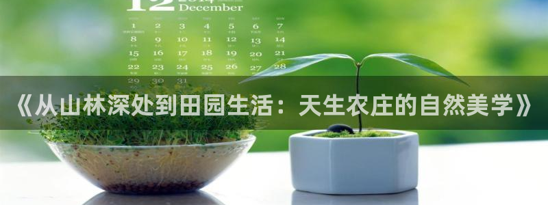 天顺娱乐2.0代理