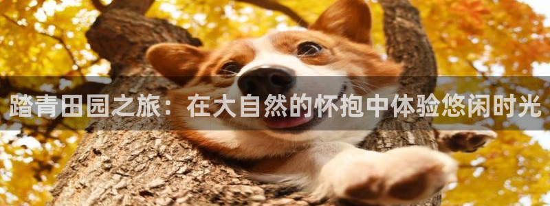 天顺娱乐箍3300