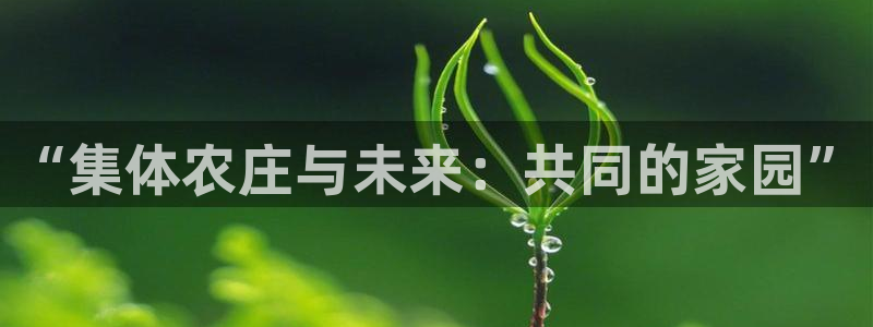 天顺娱乐丰q96303
