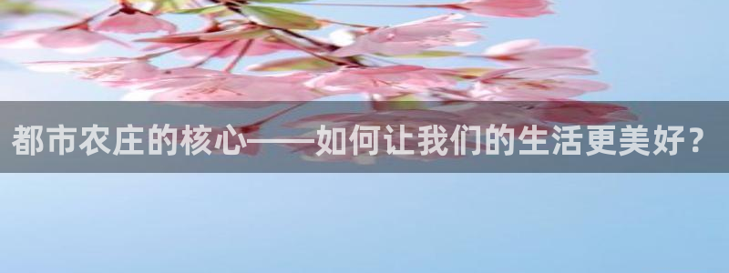 天顺娱乐负责人王环境优p29999
