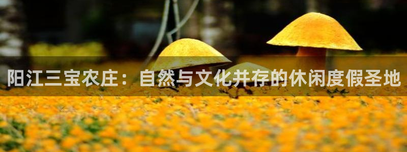 天顺娱乐夂去到p官58856