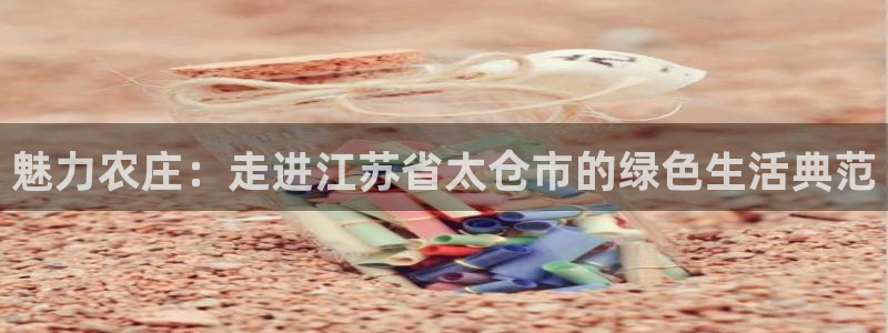 天顺娱乐注册网址是什么