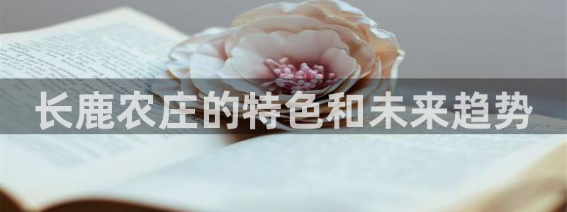 天顺娱乐主管成