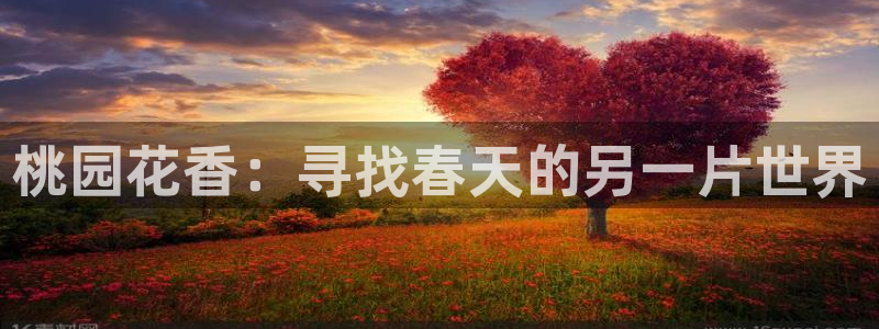 天顺娱乐网32oo59判官