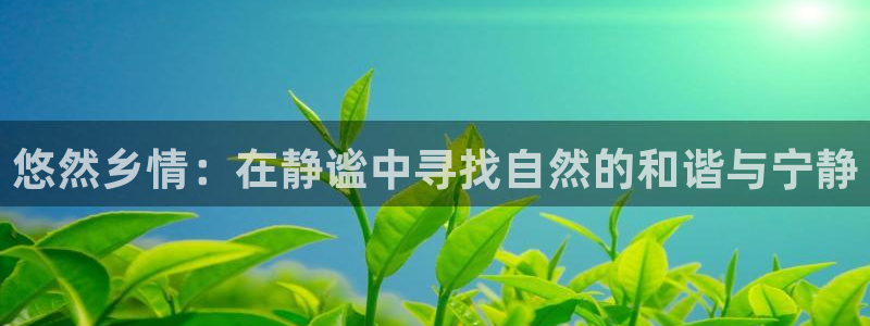 天顺娱乐乃67五壹叁八