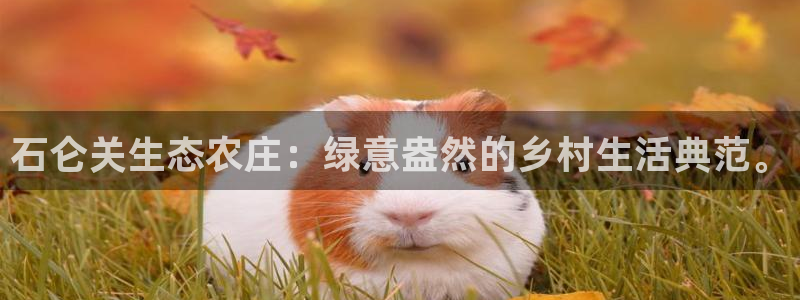 天顺娱乐招商乱判官333OO