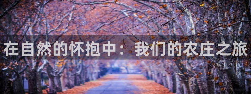天顺娱乐怎样看图