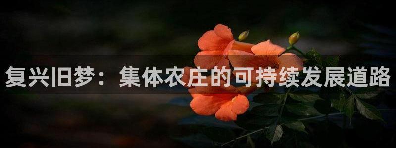 天顺娱乐专转秦奋83334j