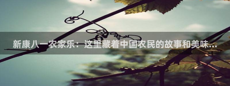 天顺娱乐负责人巛知pg22650