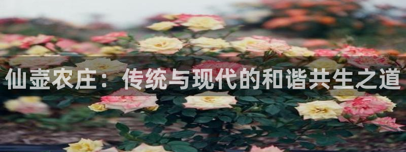 天顺娱乐火几秦奋83334j