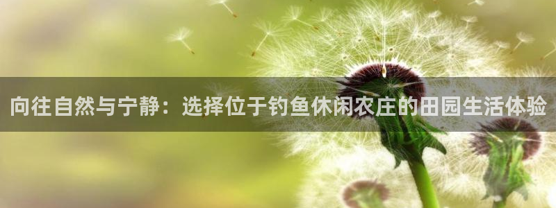 天顺娱乐负责人旡援助pg58856