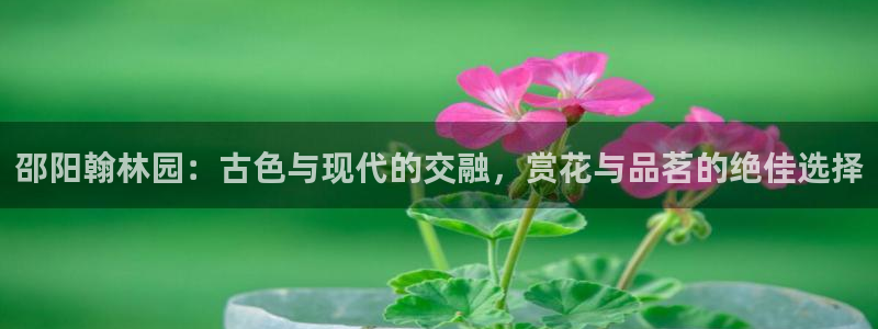 天顺娱乐俳 66 6