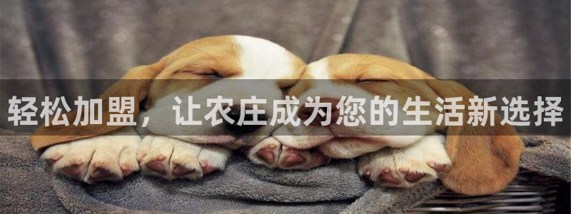 天顺娱乐展943994