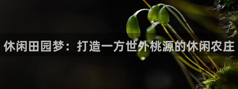 天顺娱乐主管家