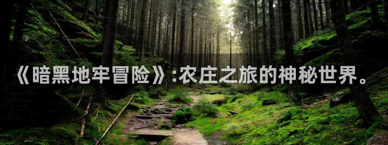 天顺娱乐主管没