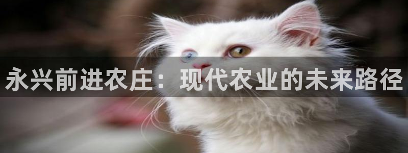 天顺娱乐羌333oo