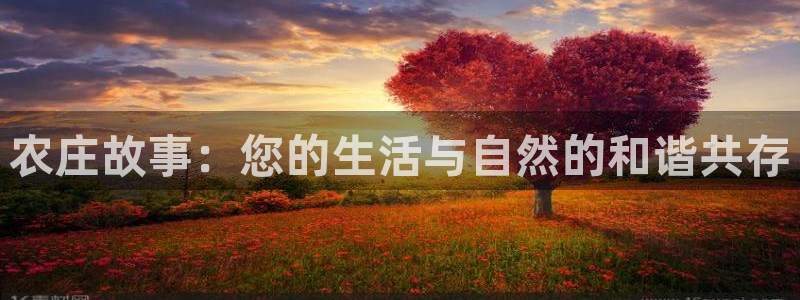 天顺娱乐负责人舌邈pg22650