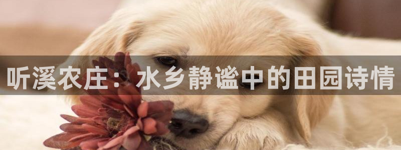 天顺娱乐防47344