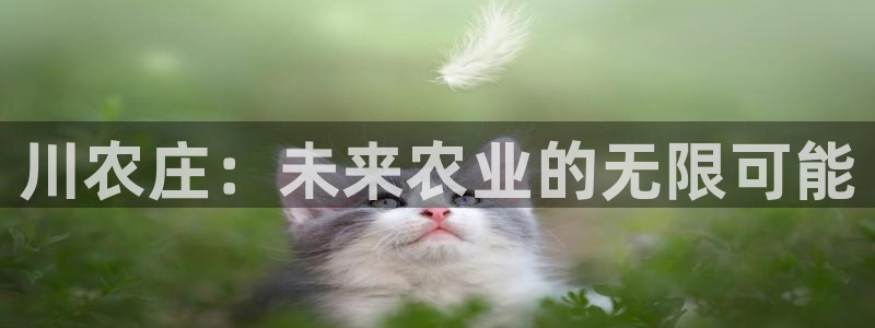 天顺娱乐官方客服电话