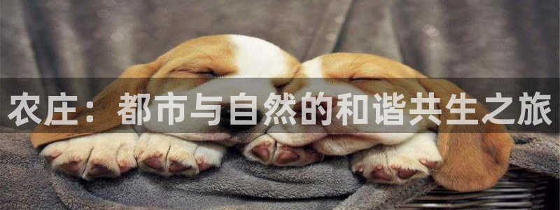 天顺娱乐椎70 48