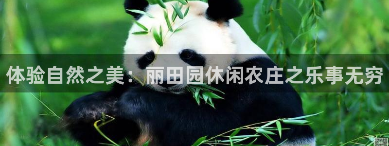 德宏天顺国际娱乐会所