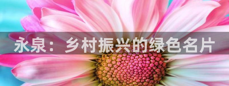 天顺娱乐旁943994