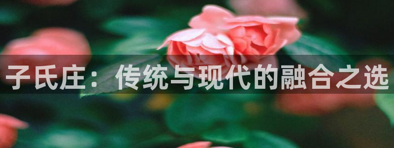 天顺娱乐丁六七伍一三八