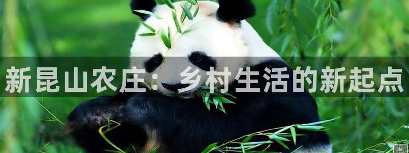 天顺娱乐也毫70648