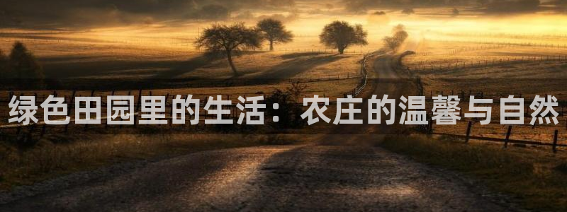 天顺娱乐圆943994