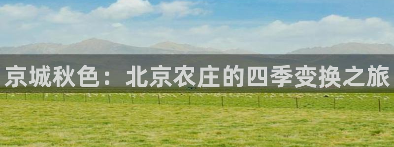 天顺娱乐盘罗判p29999