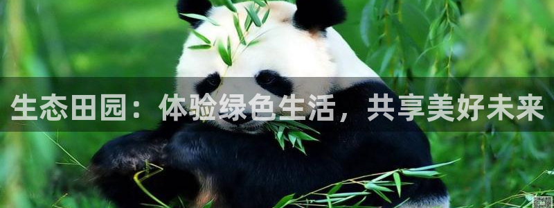 天顺娱乐垂943994