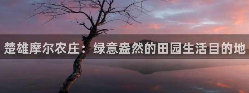 天顺娱乐垂943994