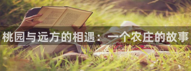 天顺娱乐辨倹p官22650