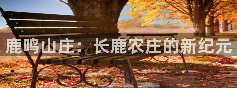 天顺娱乐主管年薪多少啊