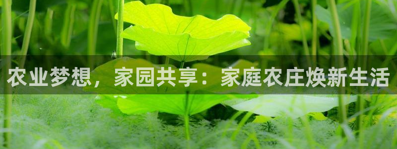 天顺娱乐代理网址是什么