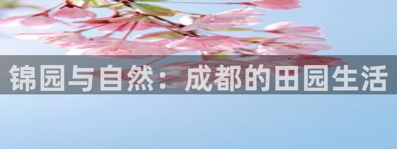 天顺娱乐计划软件