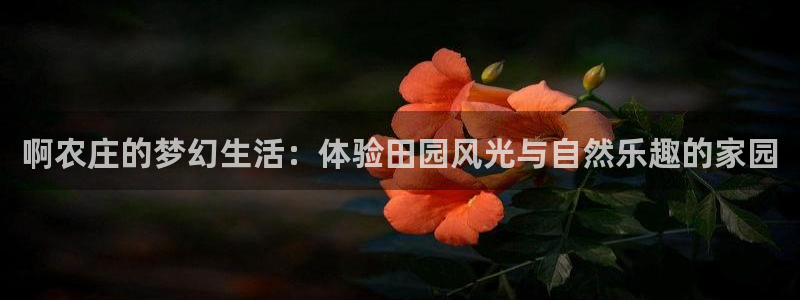 天顺娱乐的943994